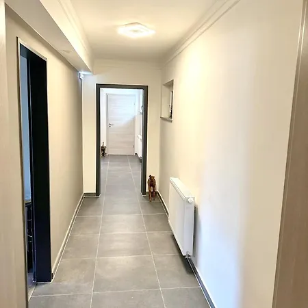 酒店 Gaestehotel Lucendi Premium Lounge *