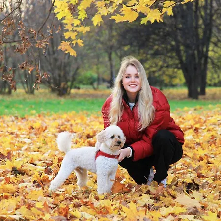 酒店 Gaestehotel Lucendi Premium Lounge