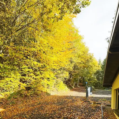 Gaestehotel Lucendi Premium Lounge 酒店