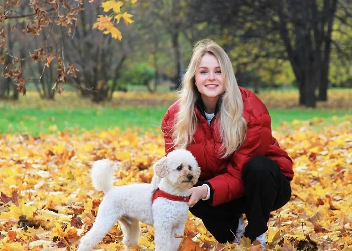 Hotel Gaestehotel Lucendi Premium Lounge